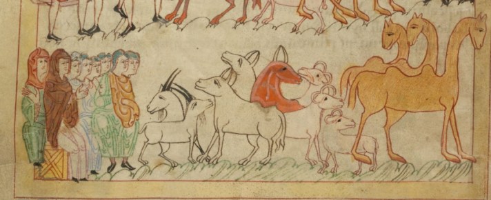 Alcuinundrums.camels