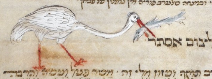 Alcuinundrums.Stork