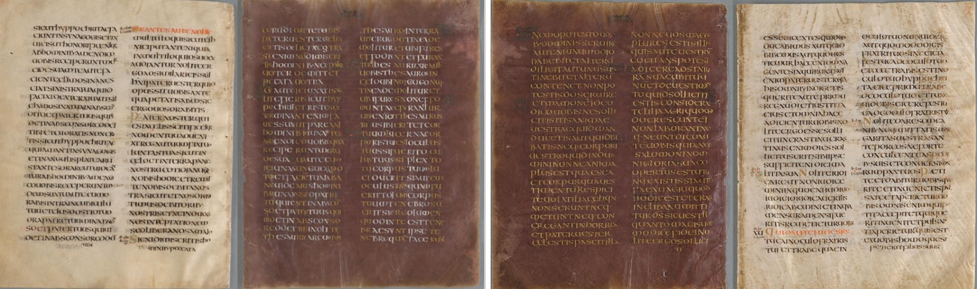 blog-codexaureus-ff-17v19r