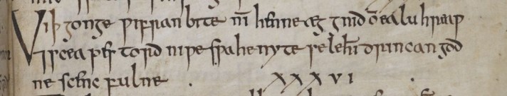 Blog.Insects.Royal12DXVII 118r